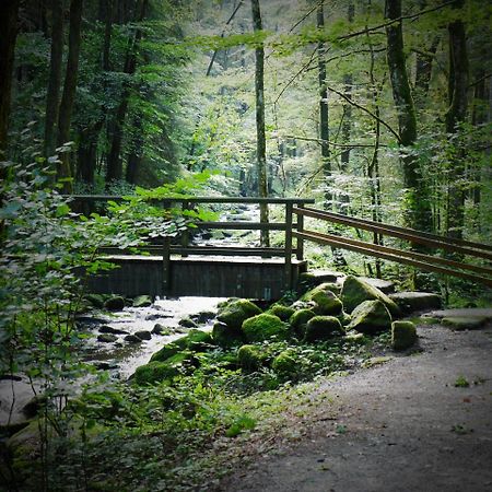 Fewo Kedo Neukirchen vorm Wald Buitenkant foto