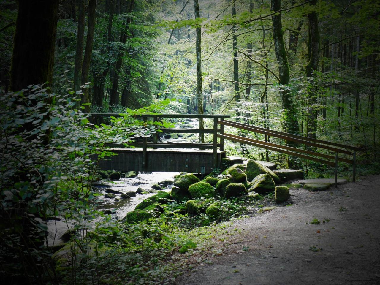 Fewo Kedo Neukirchen vorm Wald Buitenkant foto