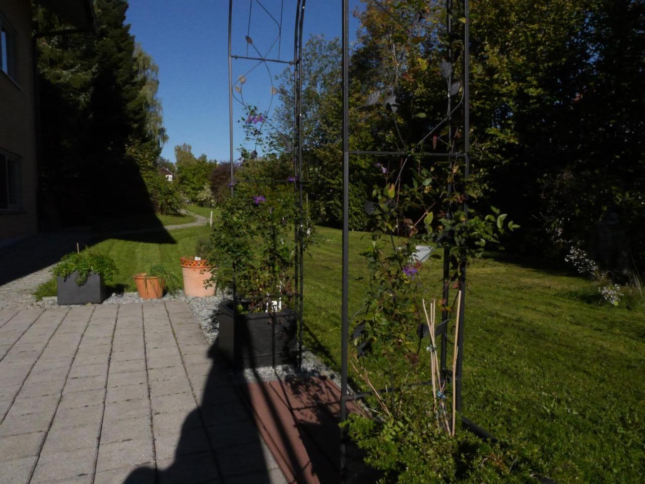 Fewo Kedo Neukirchen vorm Wald Buitenkant foto