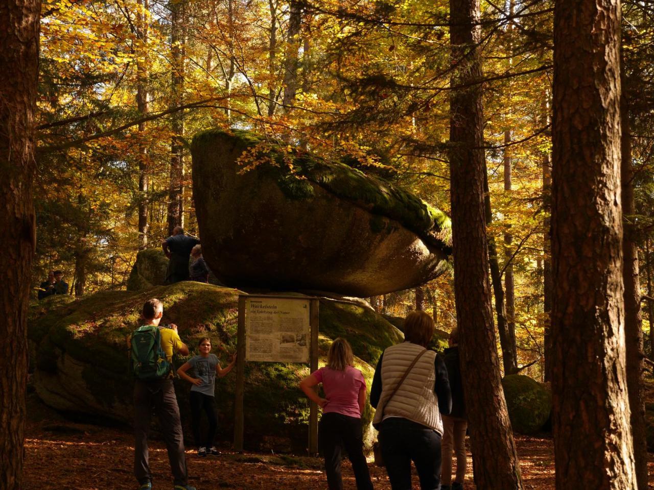 Fewo Kedo Neukirchen vorm Wald Buitenkant foto
