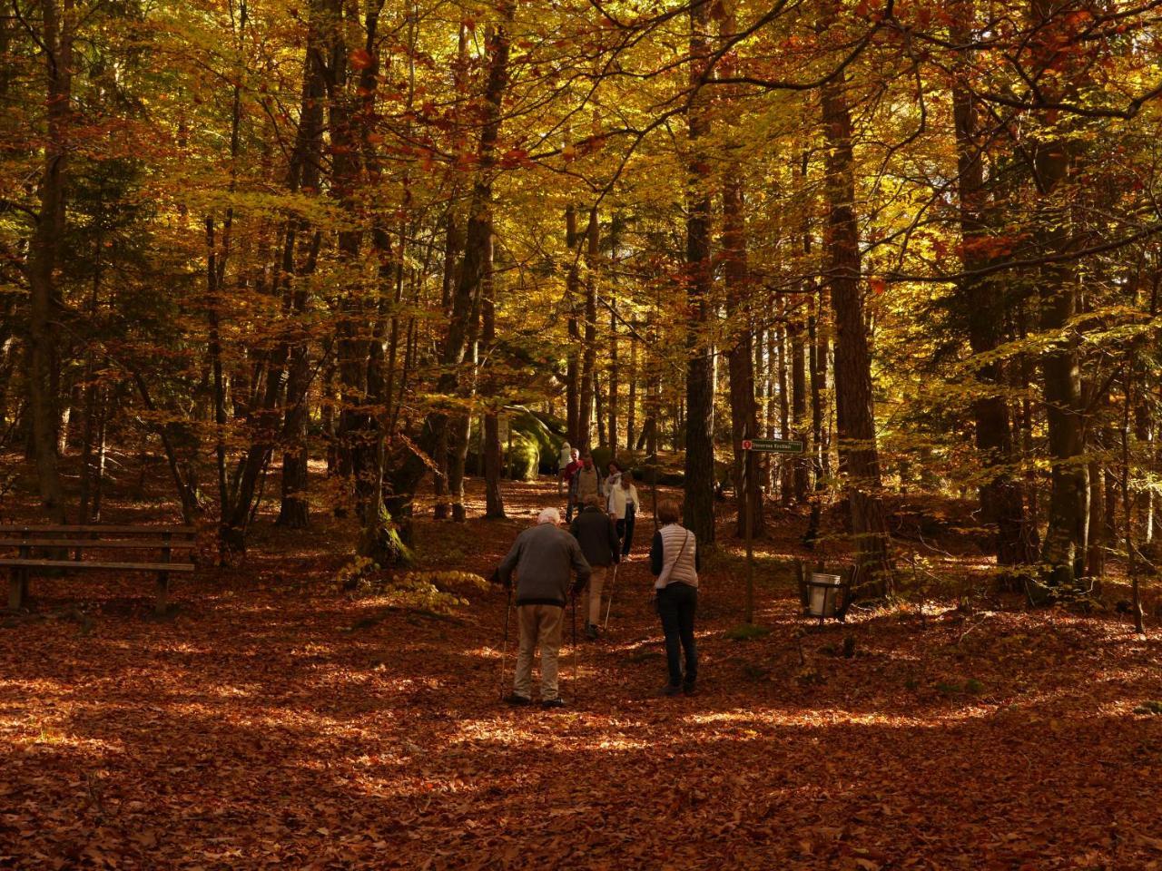 Fewo Kedo Neukirchen vorm Wald Buitenkant foto
