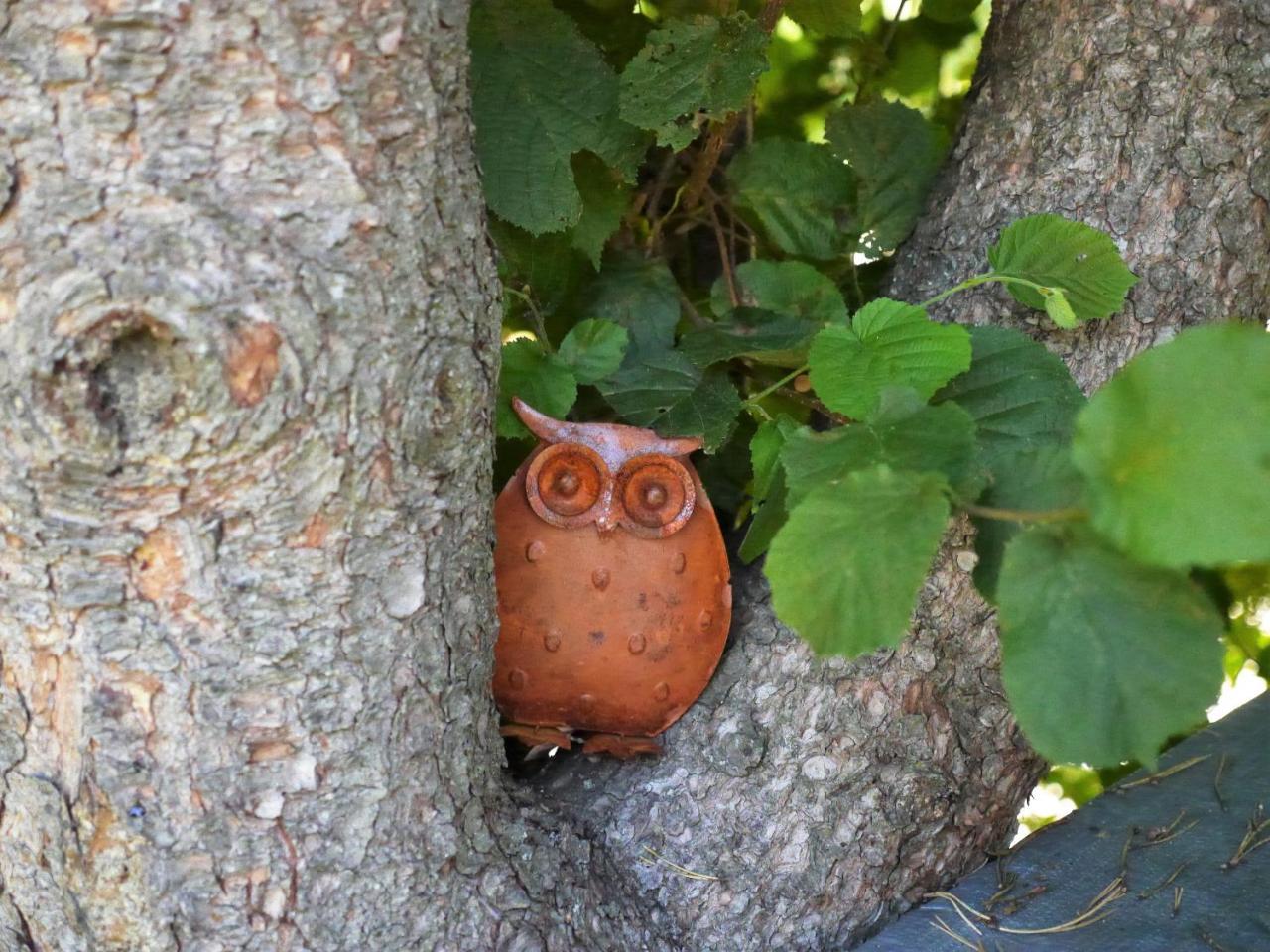 Fewo Kedo Neukirchen vorm Wald Buitenkant foto