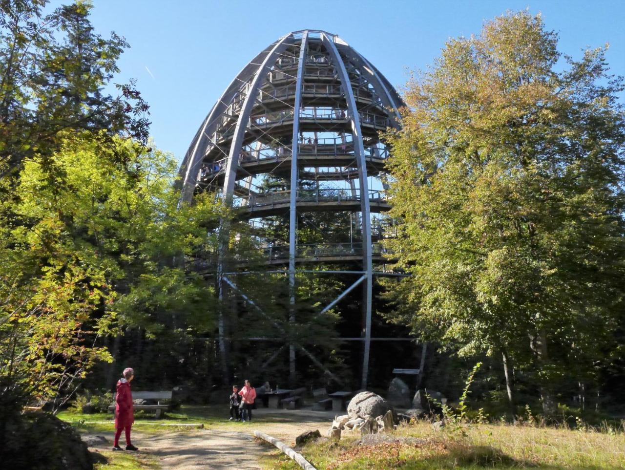 Fewo Kedo Neukirchen vorm Wald Buitenkant foto